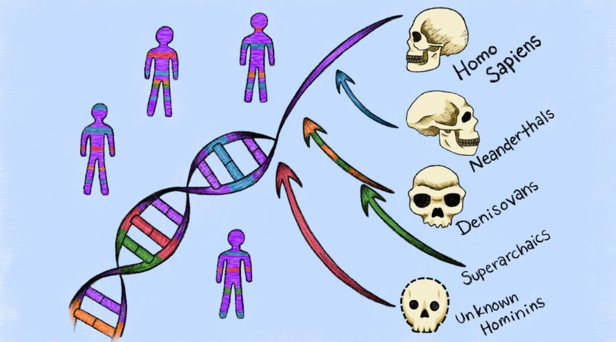 Ученые обнаружили неизвестных предков человека: ДНК изменила историю Homo sapiens